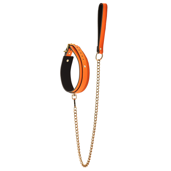 RADIANT COLLAR AND LEASH GLOW IN THE DARK ORANGE