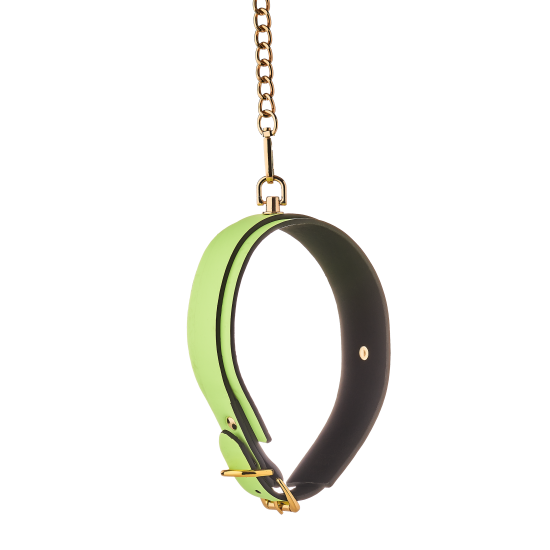 RADIANT COLLAR AND LEASH GLOW IN THE DARK GREEN