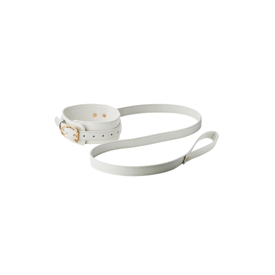 BLAZE ELITE COLLAR AND LEASH WHITE