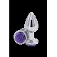 PLUG ANAL REAR ASSETS ROSE MEDIO LILAS