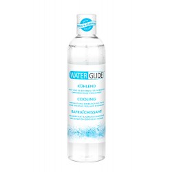 Lubrificante Waterglide Efeito Frio 300ml