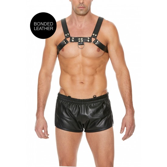 Arês Chest Bulldog - S/M - Preto