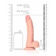 Curved Realistic Dildo  Balls  Suction Cup - 8/ 20,5 cm