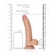 Curved Realistic Dildo  Balls  Suction Cup - 8/ 20,5 cm