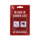 In Case Of Sudden Lust Sex Dice