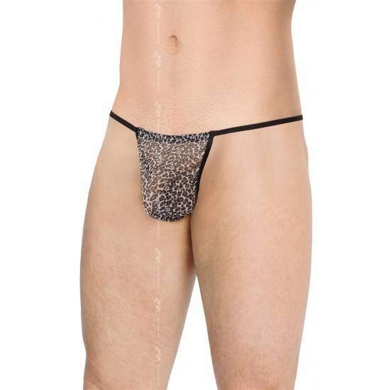 Tanga Grey Panther TU 453160